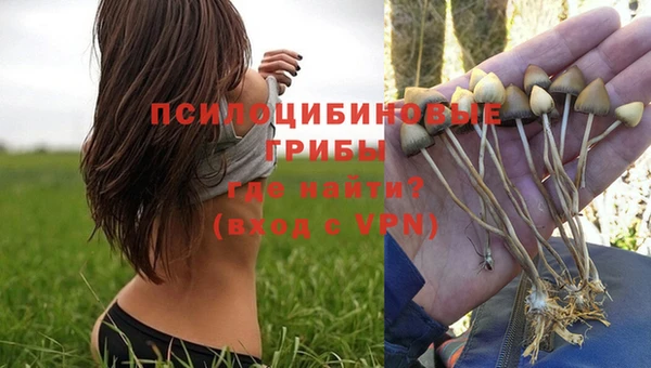 гидра Покровск